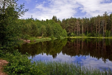 Национальный парк "Орловское Полесье"