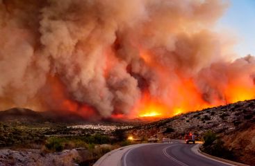Лесные пожары в Греции уносят жизни
