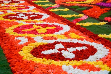 Фестиваль «Ковер из цветов»